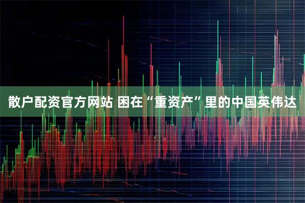 散户配资官方网站 困在“重资产”里的中国英伟达