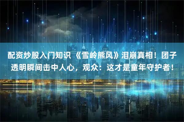 配资炒股入门知识 《雪岭熊风》泪崩真相！团子透明瞬间击中人心，观众：这才是童年守护者！